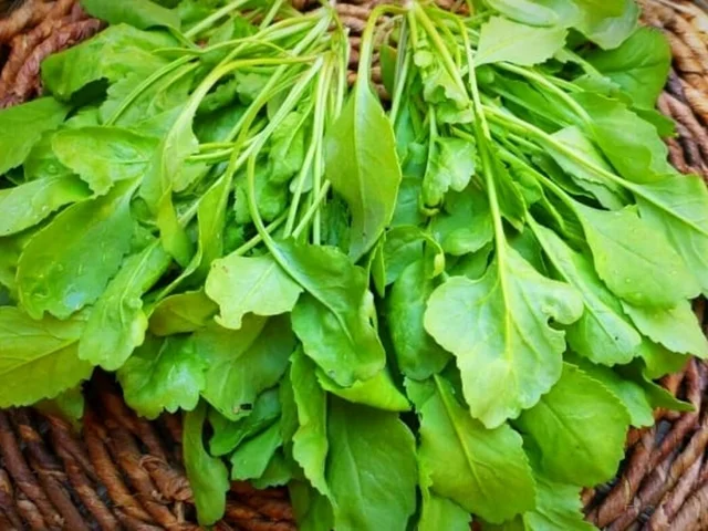 سالم‌ترین سبزی با خاصیت ضد سرطان